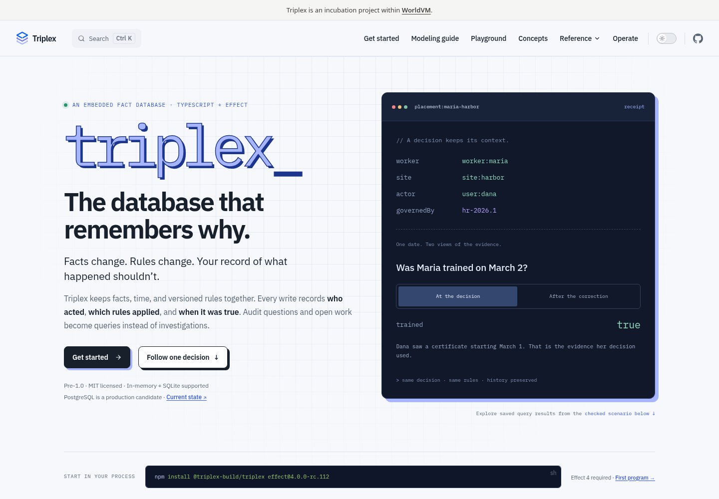 Triplex homepage with its blue monospace wordmark, grid background, and dark decision receipt panel.